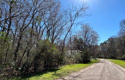 Royal Crk Road, Willis, TX 77303