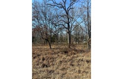 6149 Indian Harbor Drive, Mabank, TX 75156