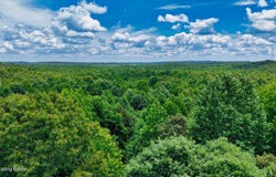 2 Ditney Hill Rd, Drakesboro, KY 42337