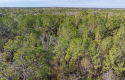 Live Oak, FL 32060