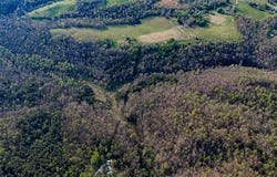 Vincent Road, Bee Spring, KY 42207