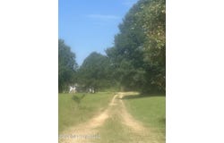 426 Gordon Road, Ashland, MS 38603