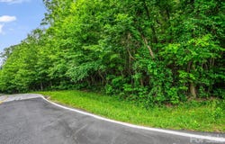 168 Tarnhill Drive, Flat Rock, NC 28731