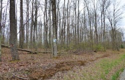 221 CATHEDRAL LANE, DANIELS, WV 25832