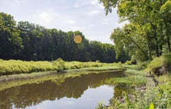 156 Polk Road 38, Hatfield, AR 71945