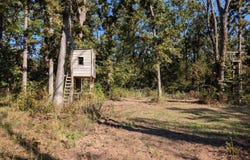 SE 731 Road, Collins, MO 64738