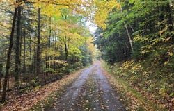 W3805 JOHNSON RD, Ogema, WI 54459