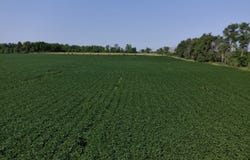 81st St SE, Kulm, ND 58456