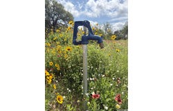 165 SANCTUARY LN, Von Ormy, TX 78073