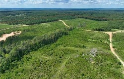 Mabelvale, AR 72103