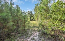 Creek Bend Rd, Georgetown, SC 29440