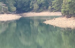 Co Rd 249, Houston, AL 35572