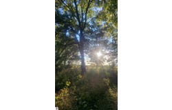 M-48, Pickford, MI 49774