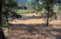 13070 State Hwy 3, Hayfork, CA 96041