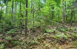 b010 Lakeview Trail, HOLLADAY, TN 38341