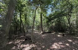 Wolfridge Road, Mobile, AL 36618