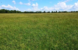 N Farm Road 231, Strafford, MO 65757