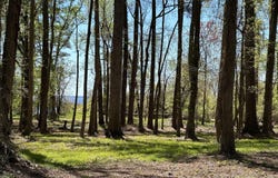 115 Waterford Drive, Bath, NC 27808