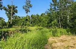 Shenfield Road, Turner, MI 48765