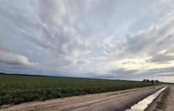 PN-408280 Alameda, Fabens, TX 79838