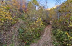 9992 S KY-11, Manchester, KY 40962