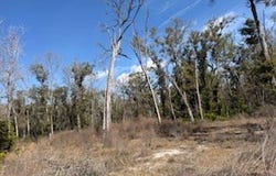 135 NE 349th Ave, Old Town, FL 32680