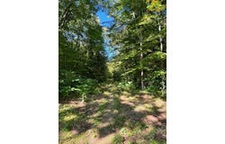 Beech Ridge Road, Jay, ME 04239