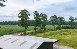 Highway 331, Dozier, AL 36028