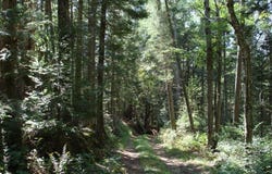 KARY MOUNTAIN ROAD, Duane, NY 12953
