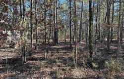 77 Pintuerero Way, Hot Springs Village, AR 71909