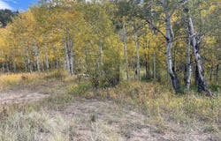 53 Ada Ct, Red Feather Lakes, CO 80545