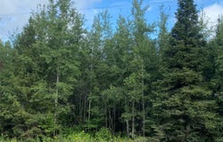 On County Highway E, Park Falls, WI 54552