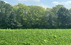 720 CR 1350 N, Sullivan, IL 61951