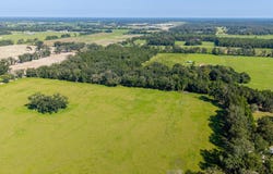 2450 SW 25th Ave, Bell, FL 32619