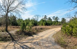 Bear Pen Creek Rd, LAUREL, MS 39443