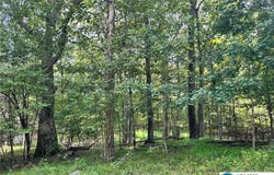 Timber Hill Road, Price Twp, PA 18332