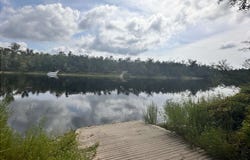NW W SOUTH DRIVE, Mayo, FL 32066