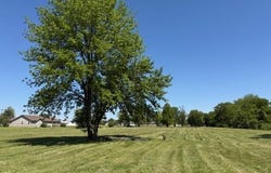 Illinois Avenue S, Sikeston, MO 63801