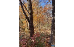 19 CHICKASAW PL, PALMYRA, VA 22963