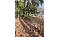 3872 MONROE St, Eugene, OR 97405