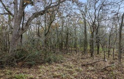1088 Bugtussle Ln, Luling, TX 78648