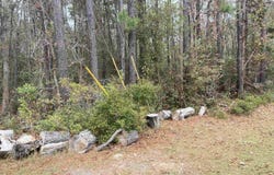 Persimmon Ford Rd., Johnsonville, SC 29555