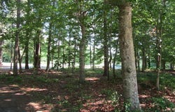 Roanoke Drive W lot: 1, Hertford, NC 27944