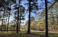 2108 Lees Landing Circle, Conway, SC 29526
