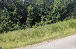 111 Chipper Lane, Sparta, GA 31087