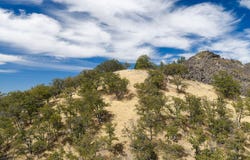 492 Conifer Way, Ashland, OR 97520