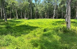 Geba Drive, Glen Spey, NY 12737