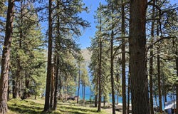 Lake Shore Rd, Joseph, OR 97846