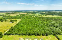 County Road 1019, Celeste, TX 75423