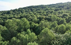 Topper Ln, Dunbar, PA 15431